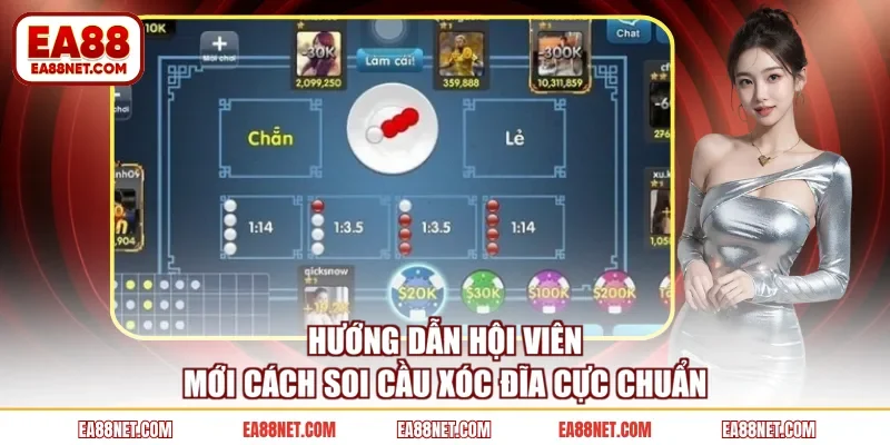 Hướng dẫn hội viên mới cách soi cầu Xóc Đĩa cực chuẩn