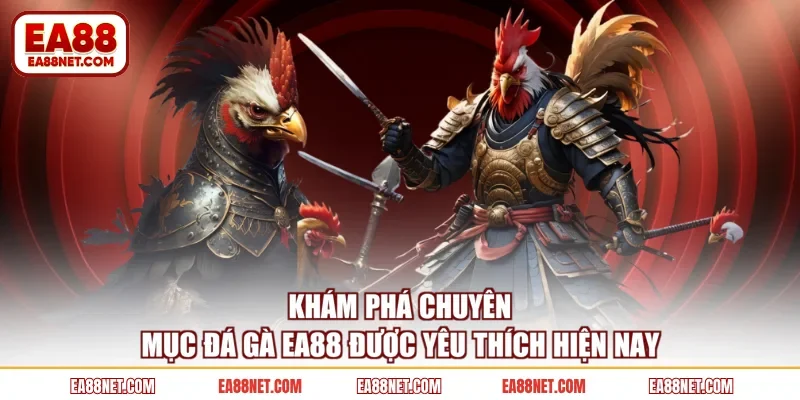 Khám phá chuyên mục đá gà EA88 được yêu thích hiện nay